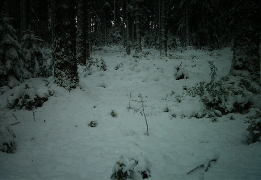 BG584-12/29 15:57-IMAG0043
