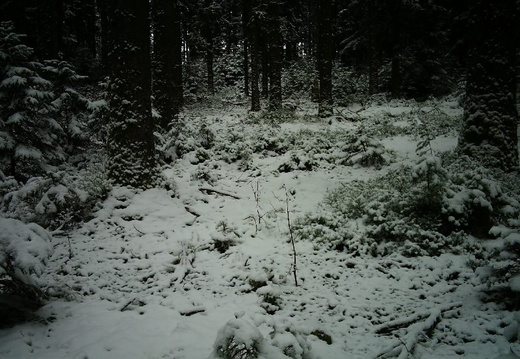 BG584-02/09 11:47-IMAG0048
